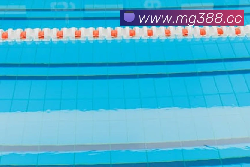 奖项证书